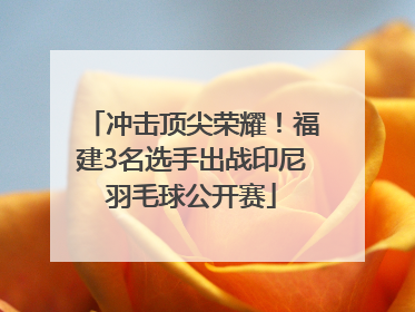 冲击顶尖荣耀！福建3名选手出战印尼羽毛球公开赛