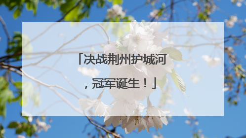 决战荆州护城河，冠军诞生！