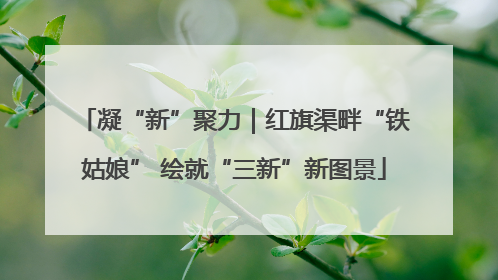 凝“新”聚力｜红旗渠畔“铁姑娘” 绘就“三新”新图景