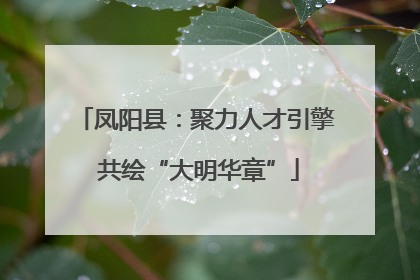 凤阳县：聚力人才引擎 共绘“大明华章”