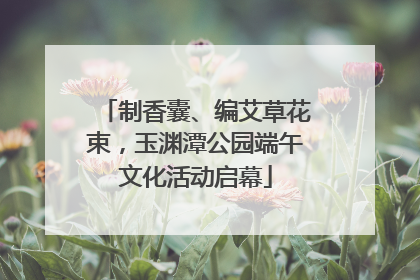 制香囊、编艾草花束，玉渊潭公园端午文化活动启幕
