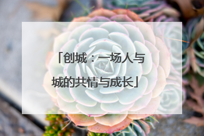 创城：一场人与城的共情与成长