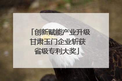 创新赋能产业升级 甘肃玉门企业斩获省级专利大奖