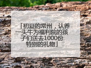 初夏的常州，认养一头牛为福利院的孩子们送去1000份特别的礼物