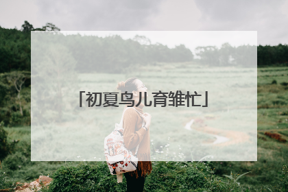 初夏鸟儿育雏忙
