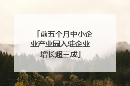 前五个月中小企业产业园入驻企业增长超三成