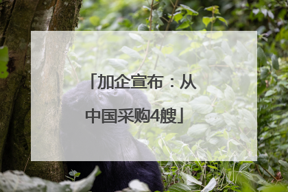 加企宣布：从中国采购4艘
