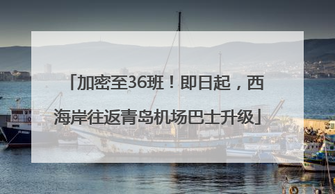 加密至36班！即日起，西海岸往返青岛机场巴士升级