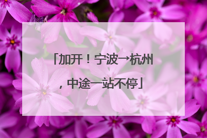 加开！宁波→杭州，中途一站不停