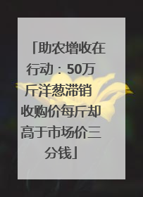 助农增收在行动：50万斤洋葱滞销 收购价每斤却高于市场价三分钱