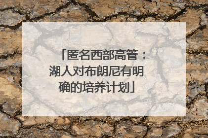 匿名西部高管：湖人对布朗尼有明确的培养计划