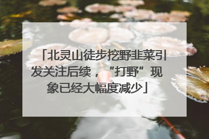 北灵山徒步挖野韭菜引发关注后续，“打野”现象已经大幅度减少