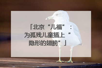 北京“儿福”：为孤残儿童插上“隐形的翅膀”
