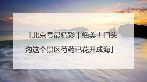 北京号最精彩｜绝美！门头沟这个景区芍药已花开成海