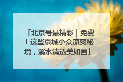 北京号最精彩｜免费！这些京城小众凉爽秘境，溪水清透美如画