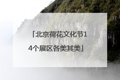 北京荷花文化节14个展区各美其美