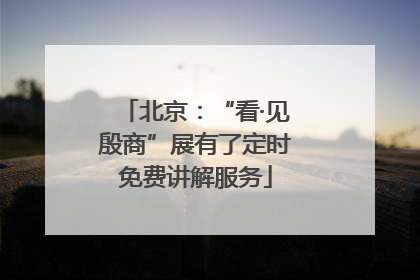 北京：“看·见殷商”展有了定时免费讲解服务