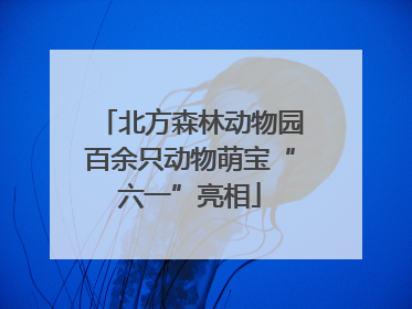 北方森林动物园百余只动物萌宝“六一”亮相