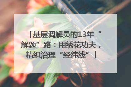 基层调解员的13年“解题”路：用绣花功夫，精织治理“经纬线”