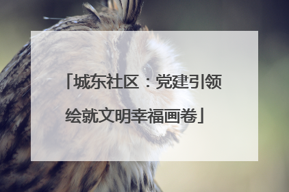 城东社区：党建引领绘就文明幸福画卷