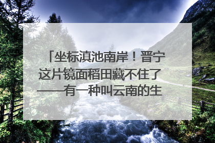 坐标滇池南岸！晋宁这片镜面稻田藏不住了——有一种叫云南的生活之365天
