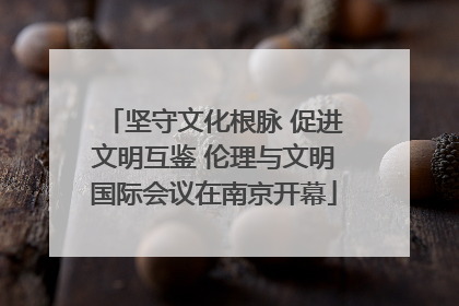 坚守文化根脉 促进文明互鉴 伦理与文明国际会议在南京开幕