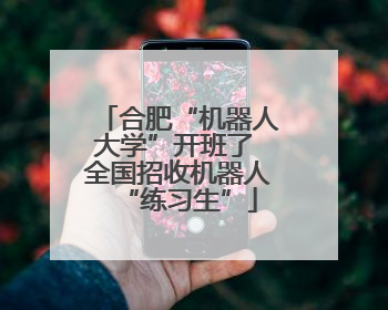 合肥“机器人大学”开班了 全国招收机器人“练习生”