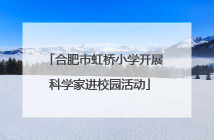 合肥市虹桥小学开展科学家进校园活动