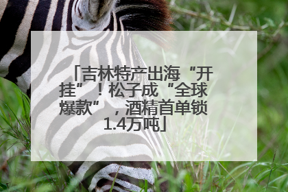 吉林特产出海“开挂”！松子成“全球爆款”，酒精首单锁1.4万吨