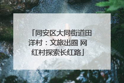 同安区大同街道田洋村：文旅出圈 网红村探索长红路