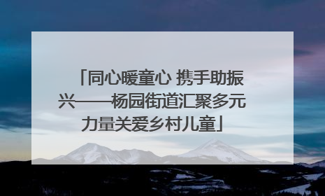 同心暖童心 携手助振兴——杨园街道汇聚多元力量关爱乡村儿童