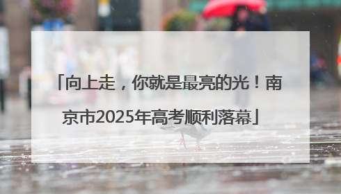 向上走，你就是最亮的光！南京市2025年高考顺利落幕