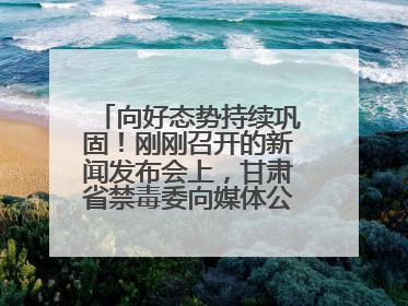 向好态势持续巩固！刚刚召开的新闻发布会上，甘肃省禁毒委向媒体公布三年禁毒工作“成绩单”