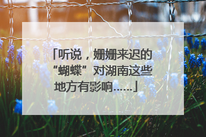 听说，姗姗来迟的“蝴蝶”对湖南这些地方有影响……