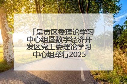 呈贡区委理论学习中心组暨数字经济开发区党工委理论学习中心组举行2025年第七次学习会议