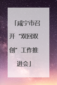咸宁市召开“双回双创”工作推进会
