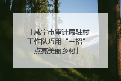 咸宁市审计局驻村工作队巧用“三招”点亮美丽乡村
