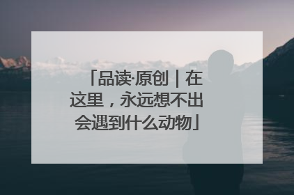品读·原创｜在这里，永远想不出会遇到什么动物