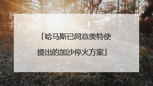 哈马斯已同意美特使提出的加沙停火方案