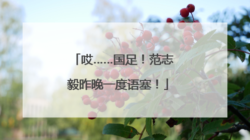 哎……国足！范志毅昨晚一度语塞！