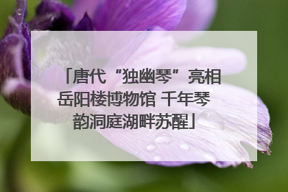 唐代“独幽琴”亮相岳阳楼博物馆 千年琴韵洞庭湖畔苏醒