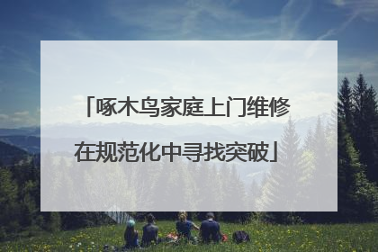 啄木鸟家庭上门维修在规范化中寻找突破