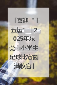喜迎“十五运”｜2025年东莞市小学生足球比赛圆满收官