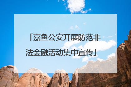 嘉鱼公安开展防范非法金融活动集中宣传