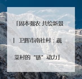 固本强农 共绘新景 ︳卫辉市南社村：蔬菜村的“链”动力