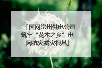 国网常州供电公司筑牢“花木之乡”电网抗灾减灾根基