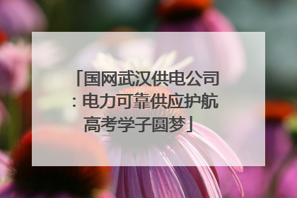 国网武汉供电公司：电力可靠供应护航高考学子圆梦