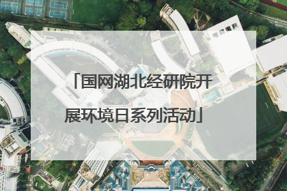 国网湖北经研院开展环境日系列活动