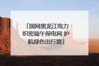 国网黑龙江电力：织密端午保电网 护航绿色出行路