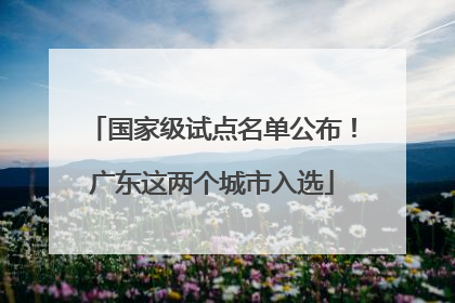 国家级试点名单公布！广东这两个城市入选